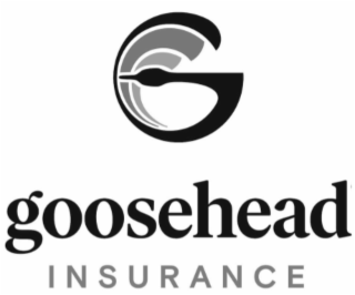 G GOOSEHEAD INSURANCE logo