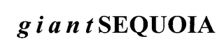 G I A N T SEQUOIA logo