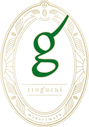 G ITOGUCHI MIDORIMAYU logo
