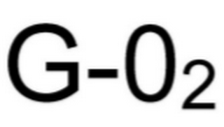 G-O2 logo
