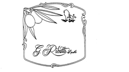G. RIBATTI S.P.A. logo