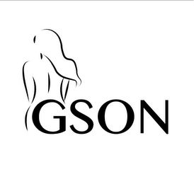 G S O N logo