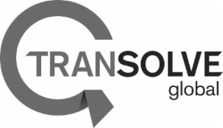 G TRANSOLVE GLOBAL logo