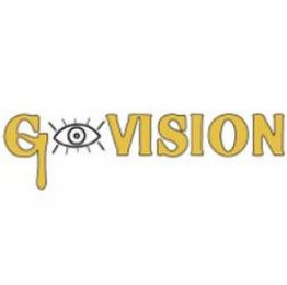 G VISION logo