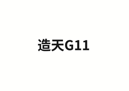 G11 logo