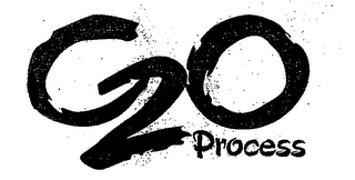 G20 PROCESS logo