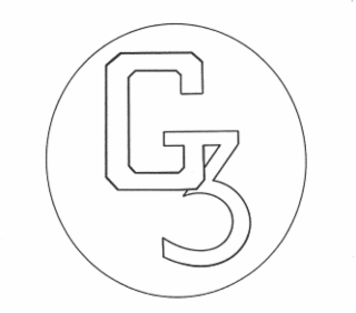 G3 logo