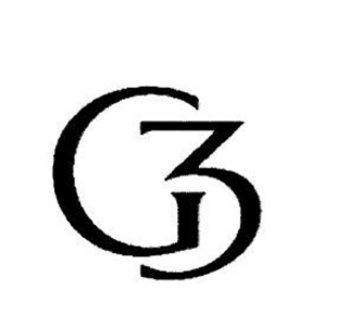 G3 logo