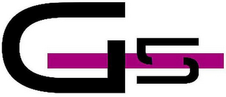 G5 logo
