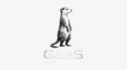 GAAS GOVERNANCE AS SERVICE logo