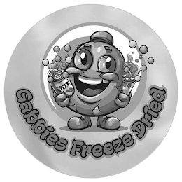 GABBIES FREEZE DRIED logo