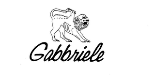 GABBRIELE logo
