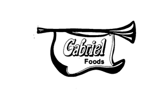 GABRIEL FOODS logo