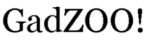 GADZOO! logo