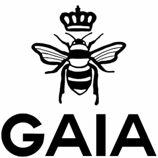 GAIA logo