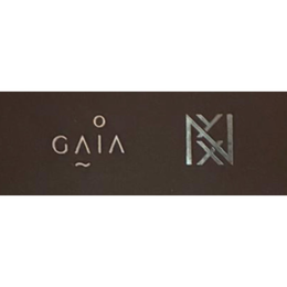 GAIA logo