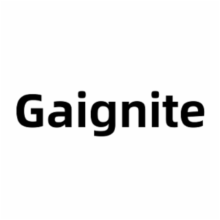 GAIGNITE logo