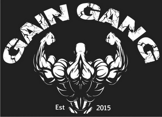 GAIN GANG EST 2015 logo