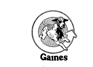 GAINES logo