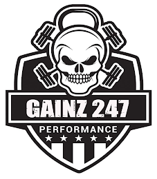 GAINZ 247 PERFORMANCE logo