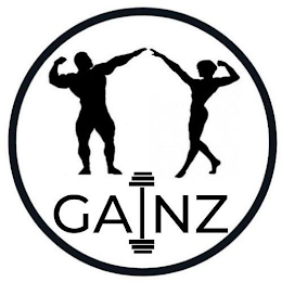 GAINZ logo