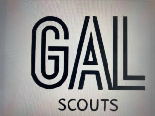GAL SCOUTS logo