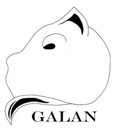 GALAN logo