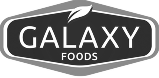 GALAXY FOODS logo
