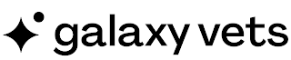 GALAXY VETS logo