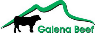 GALENA BEEF logo