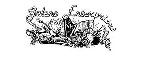 GALENO ENTERPRISES INC. logo