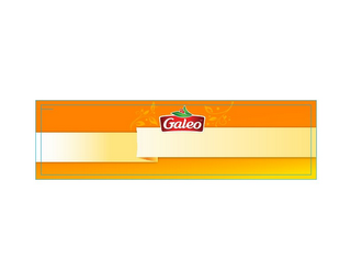 GALEO logo
