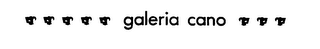GALERIA CANO logo