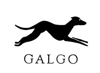 GALGO logo