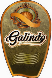 GALINDO logo