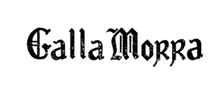 GALLA MORRA logo