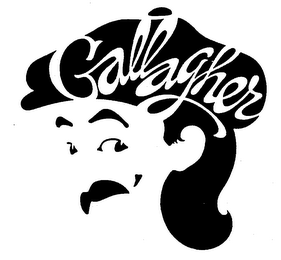 GALLAGHER logo