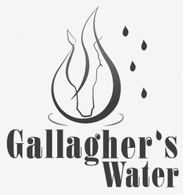 GALLAGHER'S WATER logo