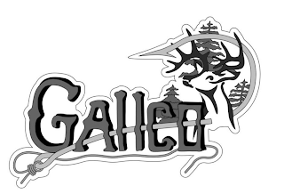 GALLCO logo