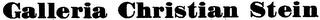 GALLERIA CHRISTIAN STEIN logo