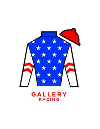 GALLERY RACING logo