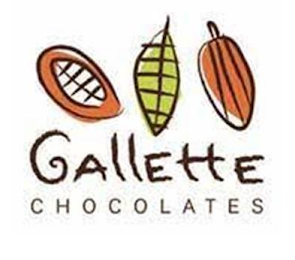 GALLETTE CHOCOLATES logo