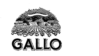 GALLO logo