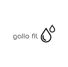 GALLO FIT logo