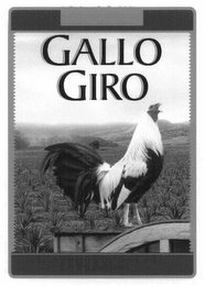 GALLO GIRO logo