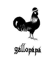 GALLOPAPA logo