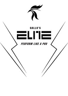 GALLO'S ELITE PERFORM LIKE A PRO logo