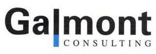 GALMONT CONSULTING logo