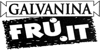 GALVANINA FRU.IT logo