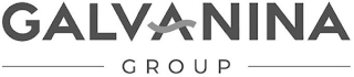 GALVANINA GROUP logo